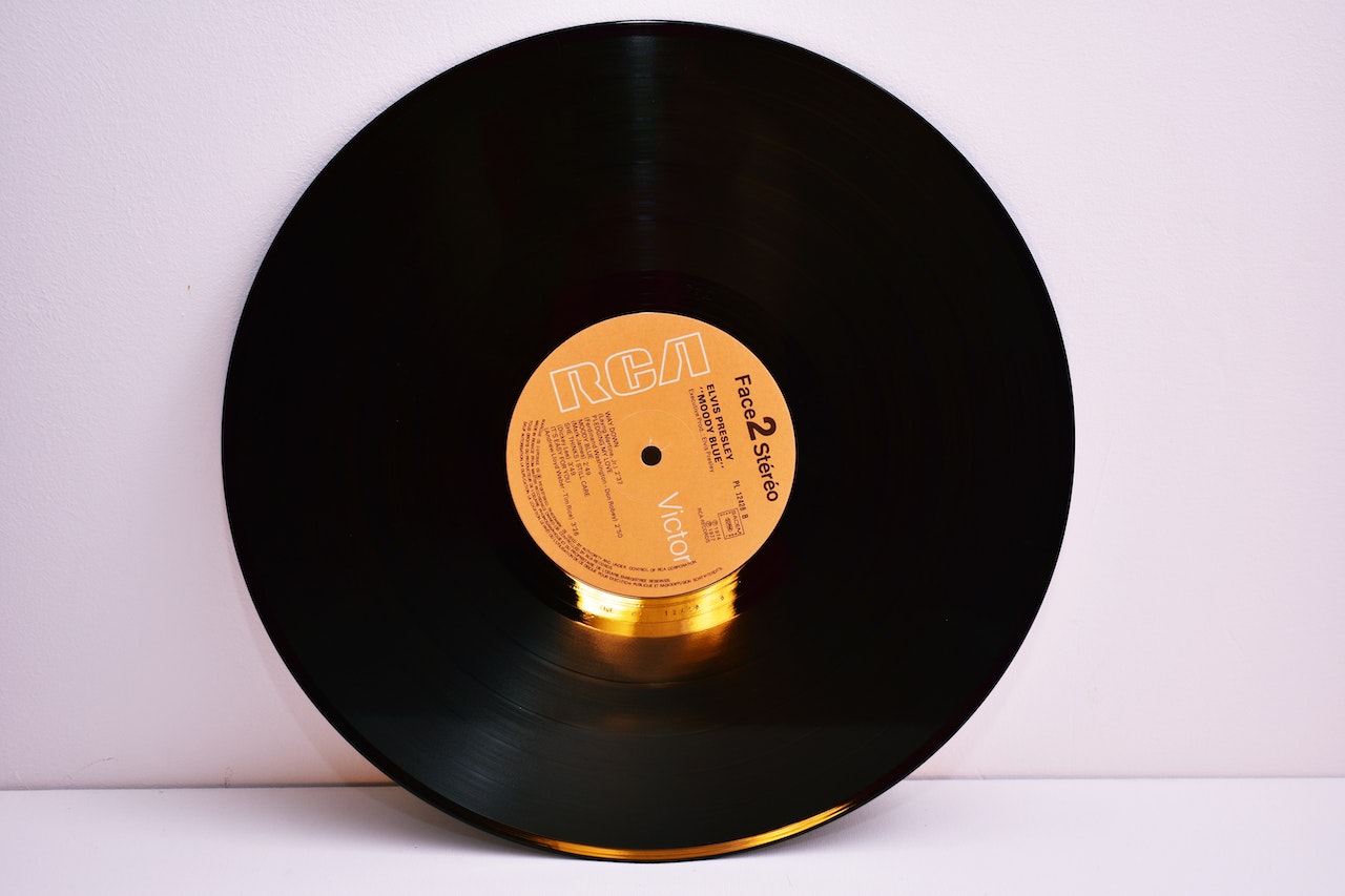 Elvis vinyl record in its illustrated sleeve